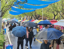 청춘양구 곰취축제, 레포츠공원 일원서 내달 3일 개막