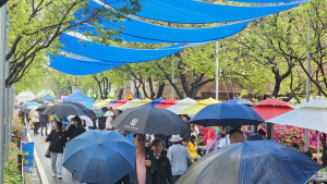 청춘양구 곰취축제, 레포츠공원 일원서 내달 3일 개막