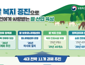 경주마도 은퇴 후 삶 있다…농식품부, 말 복지 제도화 시동