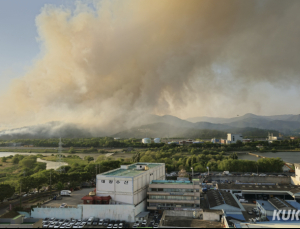 대구 함지산 산불 다시 발화…국가소방동원령 재발령