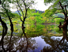 경북도, 산불 피해지역 회복형 관광 본격 추진…볼런투어·기부여행 시동