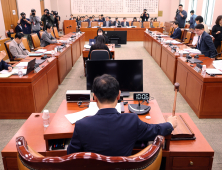 민주, ‘대통령 재판 정지법’ 법사 소위서 단독 의결…‘김건희 특검법’도