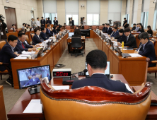 행안위, 허위사실공표죄 요건서 ‘행위’ 삭제…개정안 의결