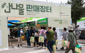 “산불 상처 달랜다”…영양군, ‘산나물 먹거리 한마당’ 9일 개막