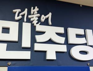 박선원 “국정원, 내란지속·선거개입 시도 의혹”