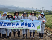 영천시 정책기획실 직원들, 농가 일손 부족 해결사 자처