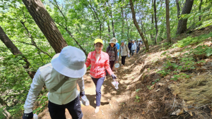인제 기룡산에 맨발길 조성된다…'치유와 힐링' 제공