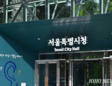 상가임대차 분쟁 해결 나선다…서울시 ‘혼합형 분쟁조정’ 도입