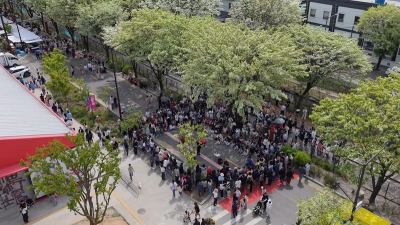 ‘전주 이팝나무 축제’, 새로운 봄 축제로 인기몰이