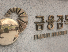 금융감독원, 신한카드 베트남 법인에 “차환실패 위험”