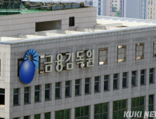 정치테마주 30% 폭락에…금감원·거래소, 공동대응 나선다
