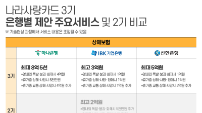 [단독] 나라사랑카드 보험, 3기도 ‘복붙’ 보장 범위