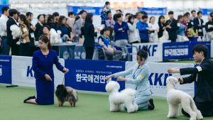 ‘펫케이션부터 펫티켓까지’…대구펫쇼, 23일 엑스코서 개막