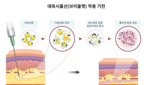 대웅제약 “브이올렛 주성분, 팔뚝살에도 효과…피하지방 7.49㎜ 감소”
