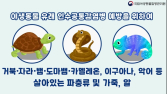 야생동물질병관리원, 해외 질병 차단 ‘파수꾼’…파충류 15.8만 마리 검역