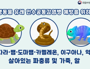 야생동물질병관리원, 해외 질병 차단 ‘파수꾼’…파충류 15.8만 마리 검역