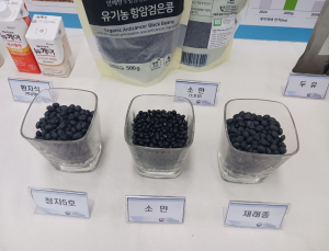 암세포 50% 이상 줄인 검은콩 ‘소만’ 두유로 나온다
