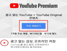 구글, ‘유튜브 라이트’ 출시로 자진시정할까…공정위 동의의결 개시