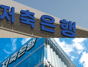 “서울 사람한테만 빌려줬다” 저축은행 여신 집중 ‘심각’