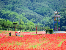 “꽃양귀비처럼 다시 피어난다”… 청송군, 산불 극복·지역경제 회복 ‘총력’