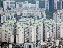 서울 집값 상승에…정부 “필요시 토지거래허가구역 추가 지정”