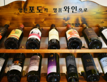 [단독] 여자리그 7년 만에 9개 구단 체제…‘영천 명품 와인’ 신생팀 합류 [바둑]